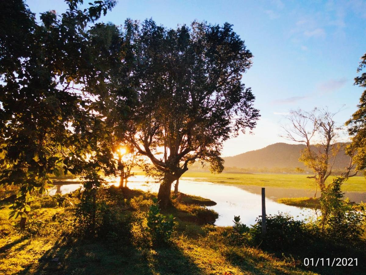 Lake Front Yala Safari Kataragama Exteriör bild