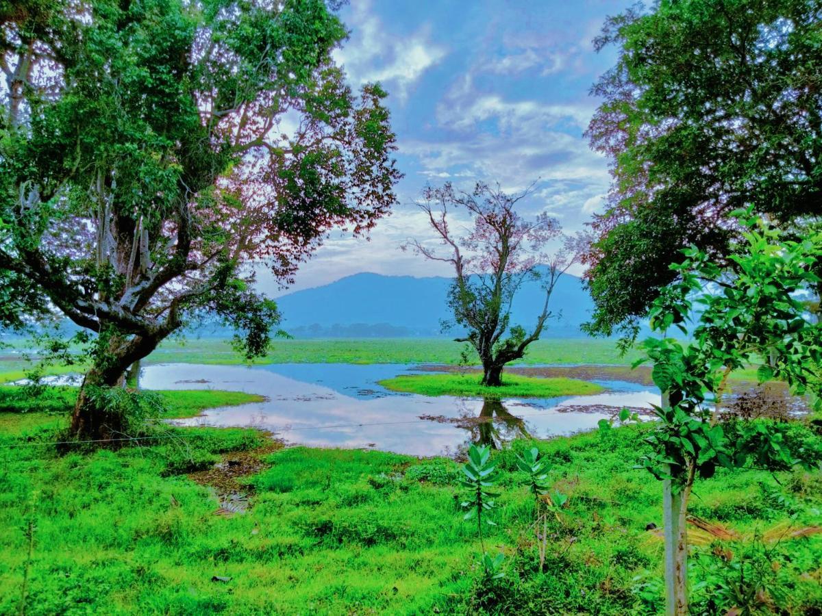 Lake Front Yala Safari Kataragama Exteriör bild