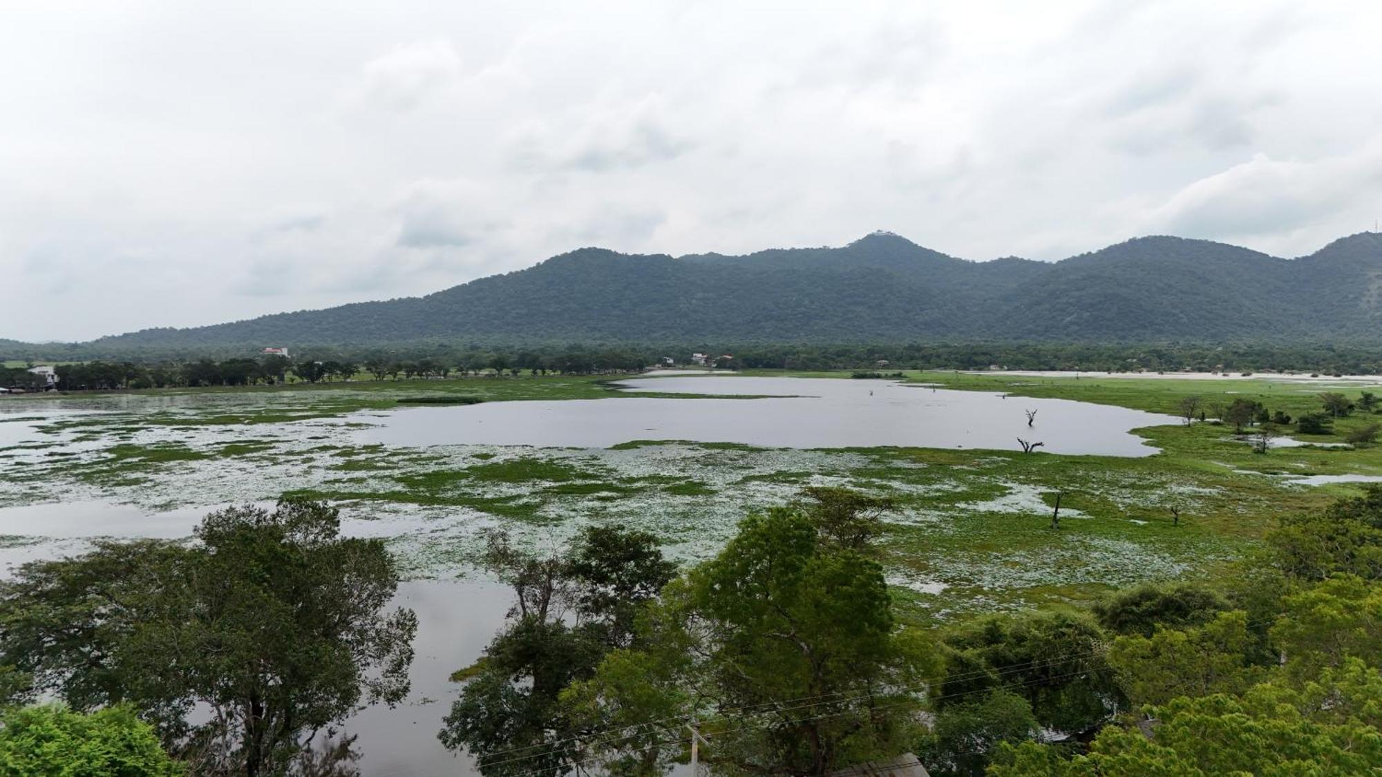 Lake Front Yala Safari Kataragama Exteriör bild