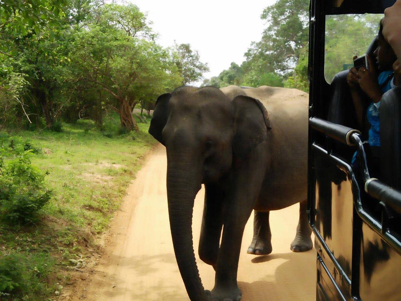 Lake Front Yala Safari Kataragama Exteriör bild